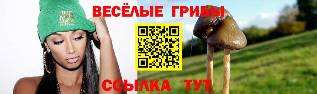 Галлюциногенные грибы MAGIC MUSHROOMS  Псилоцибиновые грибы ЛСД  продажа наркотиков  Вход с VPN  Артёмовский 